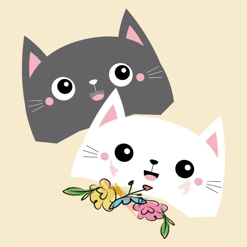 Katze schwarz weiß