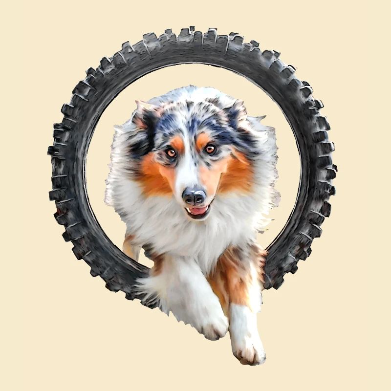Australian Shepherd Agility
