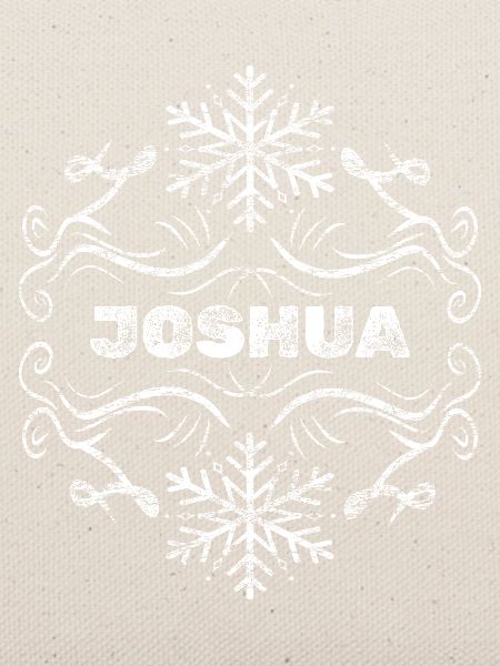 Winter Joshua