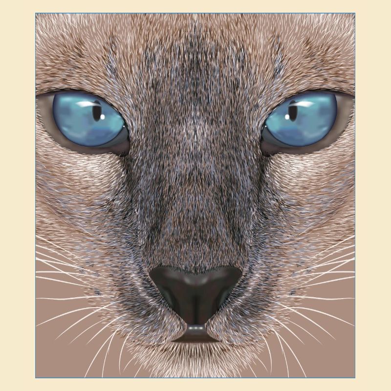 Siamkatze