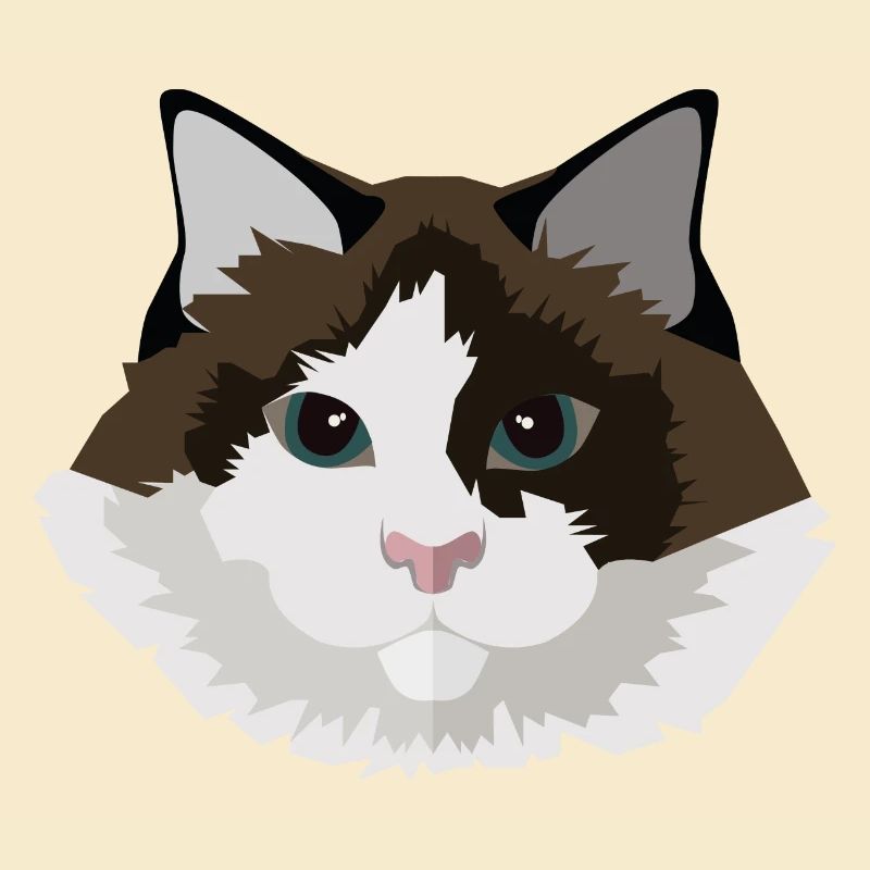 Katze