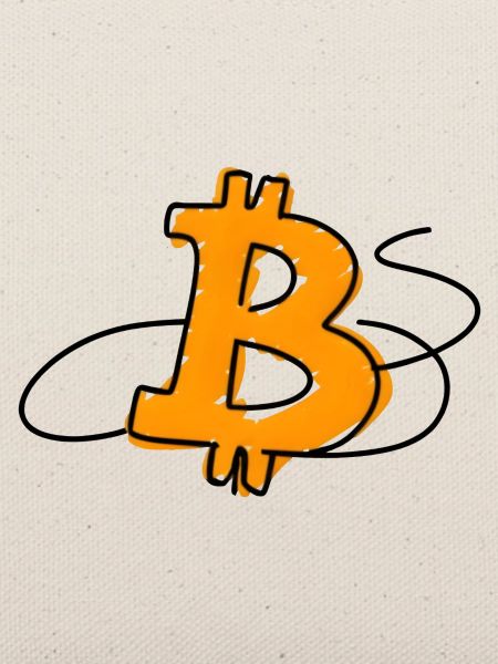 Bitcoin Minimalist Logo