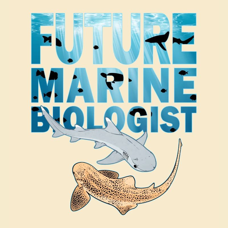 Requin léopard Requin de récif à pointe blanche