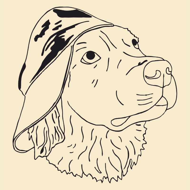 Golden Retriever mit Cap