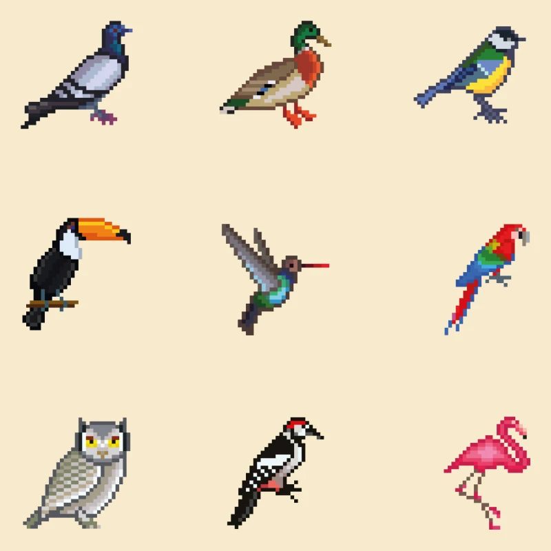 Vögel