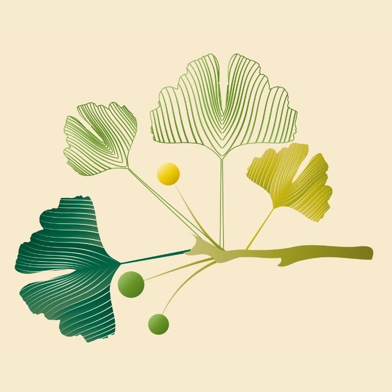 Branche de ginkgo faite de lignes de feuilles dans des tons verts doux