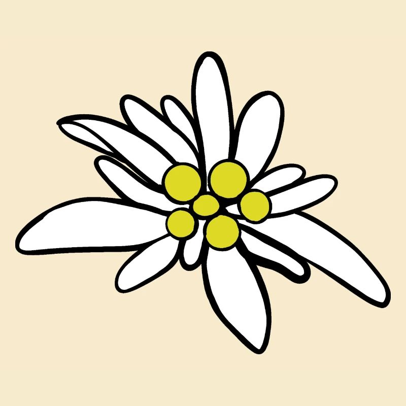 Edelweiß 1