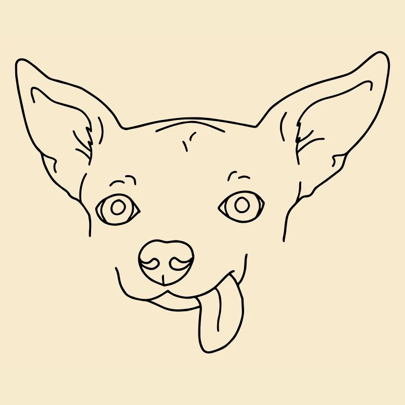 Hund