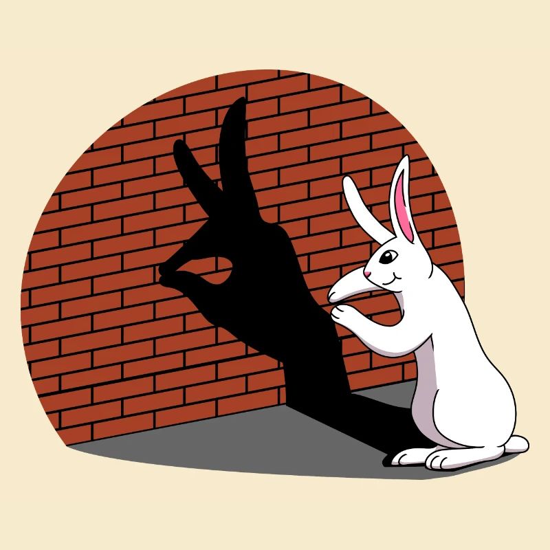 Rabbit Shadow Figure Shadow Image Shadow Play