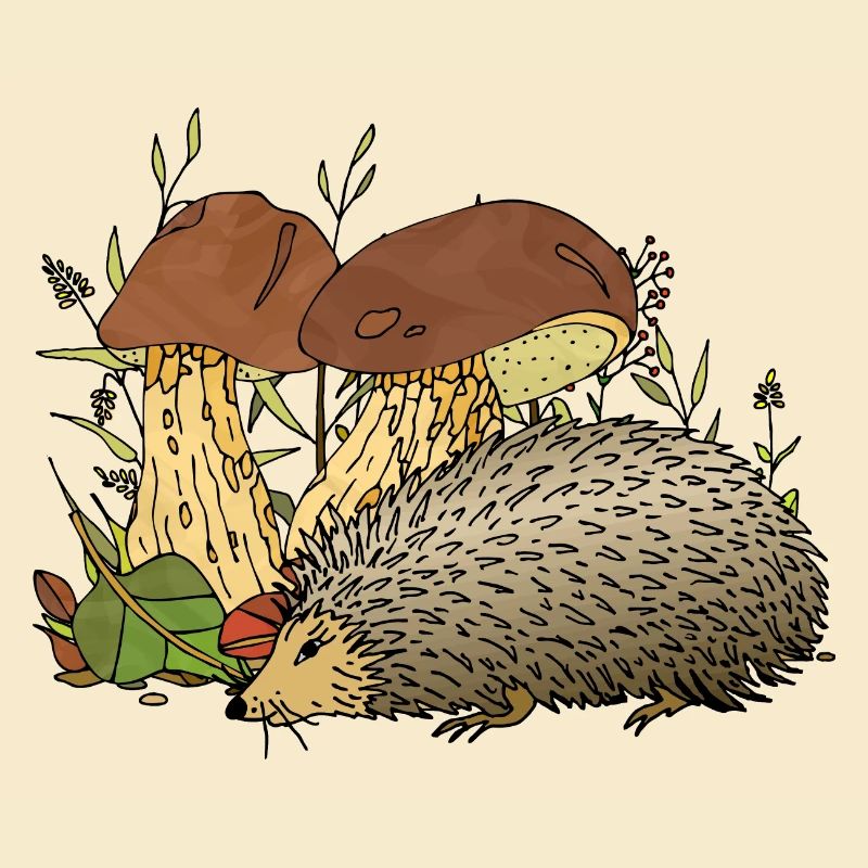 Igel