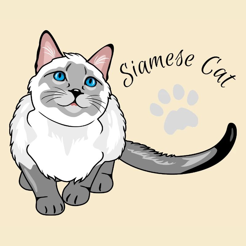 Neugierige Siamkatze