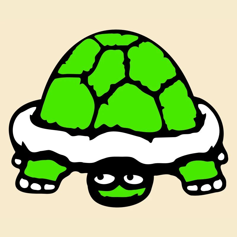 tortue cachée timide sourire drôle