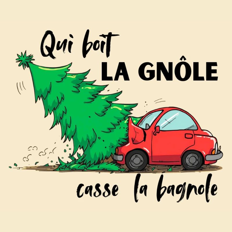 QUI_BOIT_LA_GNOLE_CASSE DAS AUTO
