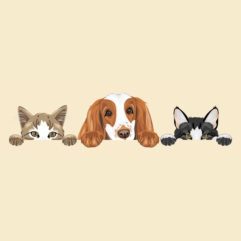 Cocker Spaniel dog and two cute cats