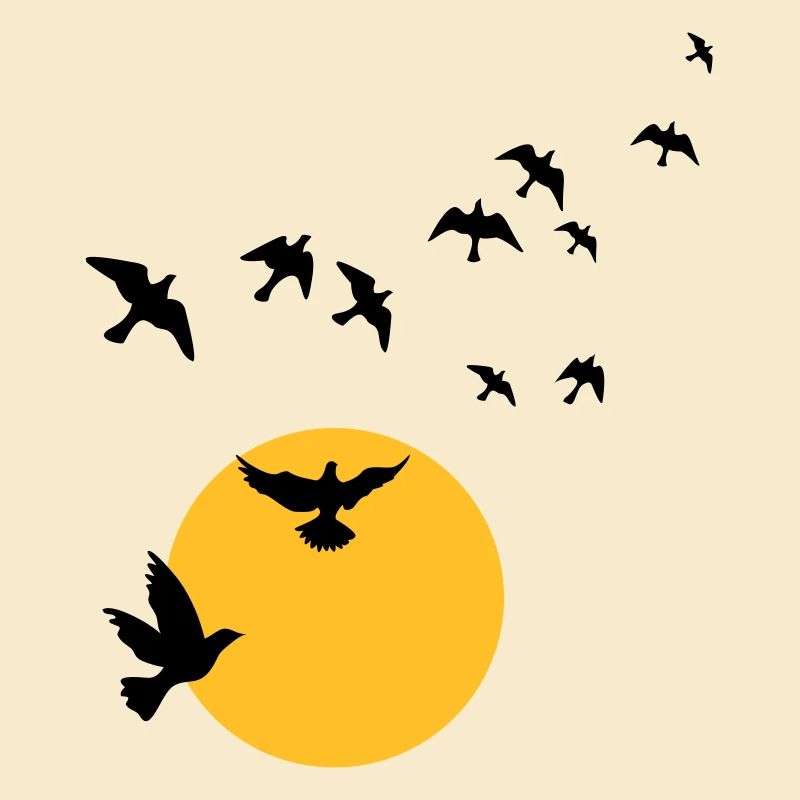 Birds in the sunset