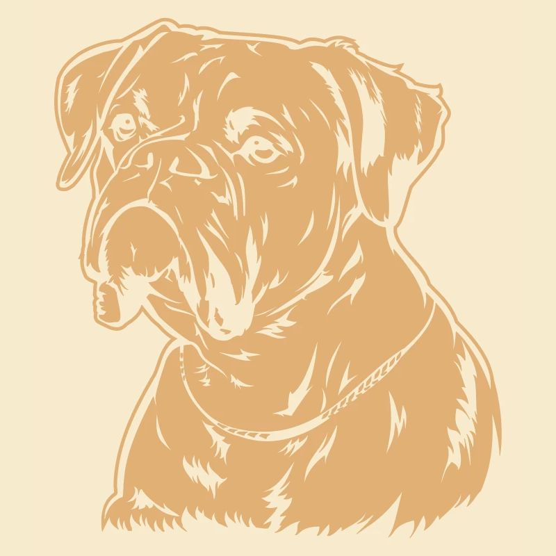 Boxer