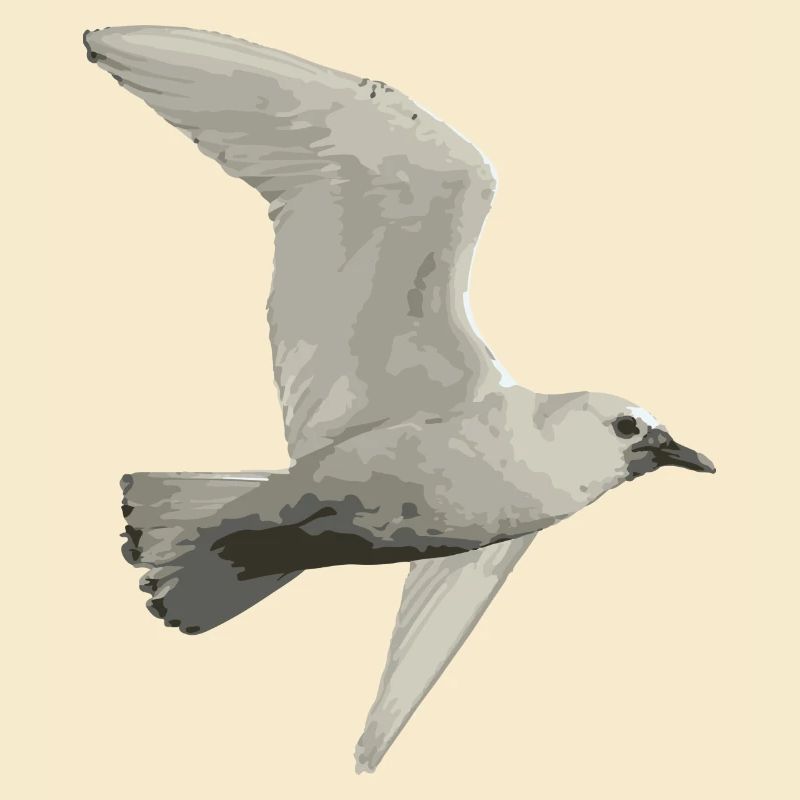 Oiseau