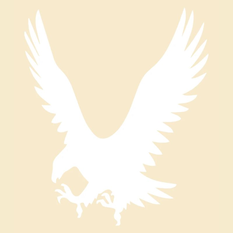 Les Eagles à l’attaque