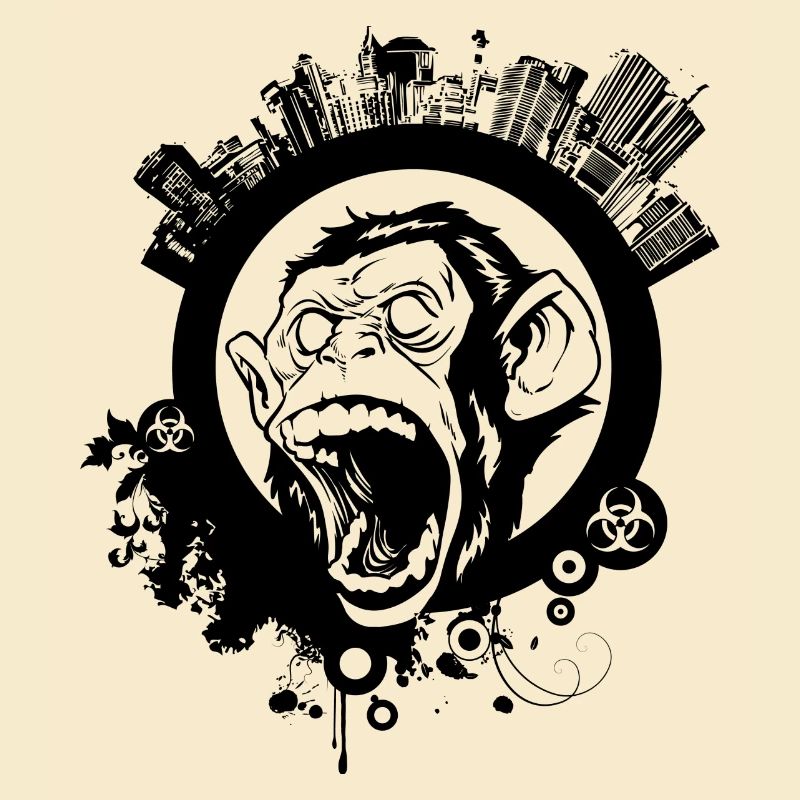 urban, monkey, monkey