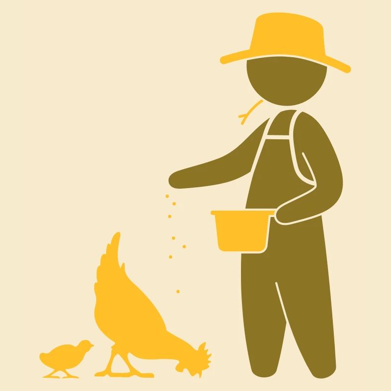 Farmer feeding the chickens