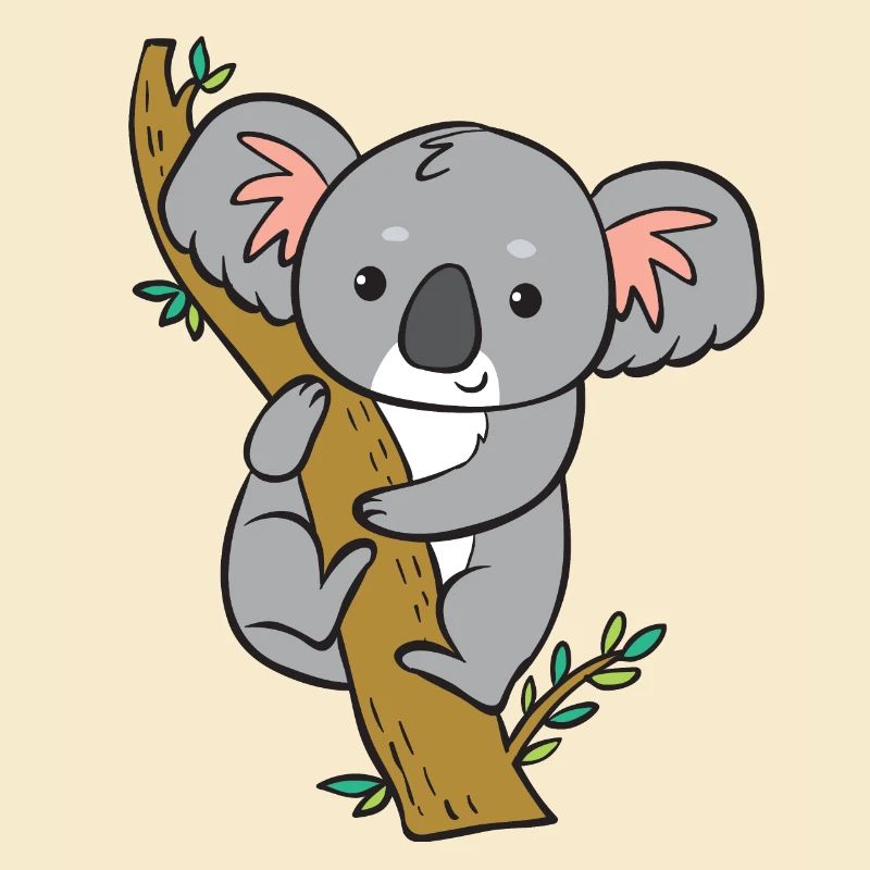Koala - schaut vom Baum.