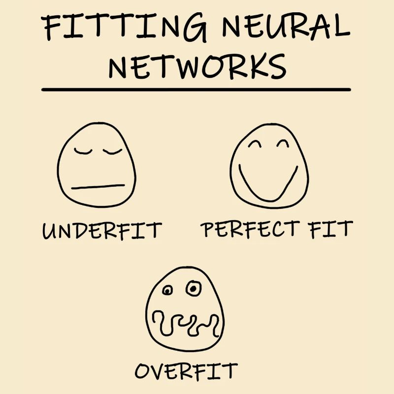 Datascience: Neural Networks Model Fitting (Black)