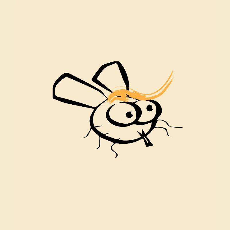 fly