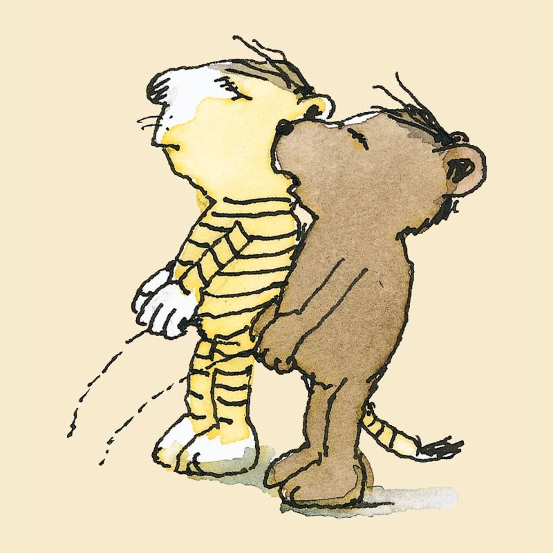 Janosch Tiger und Bär Pullern