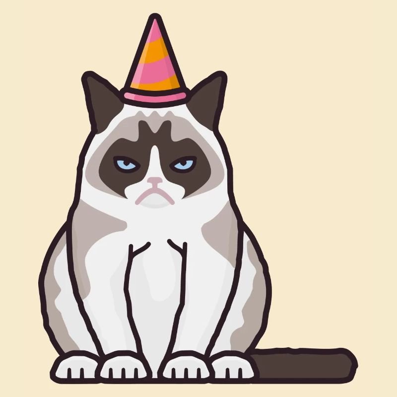 Grumpy, grim cat with party hat
