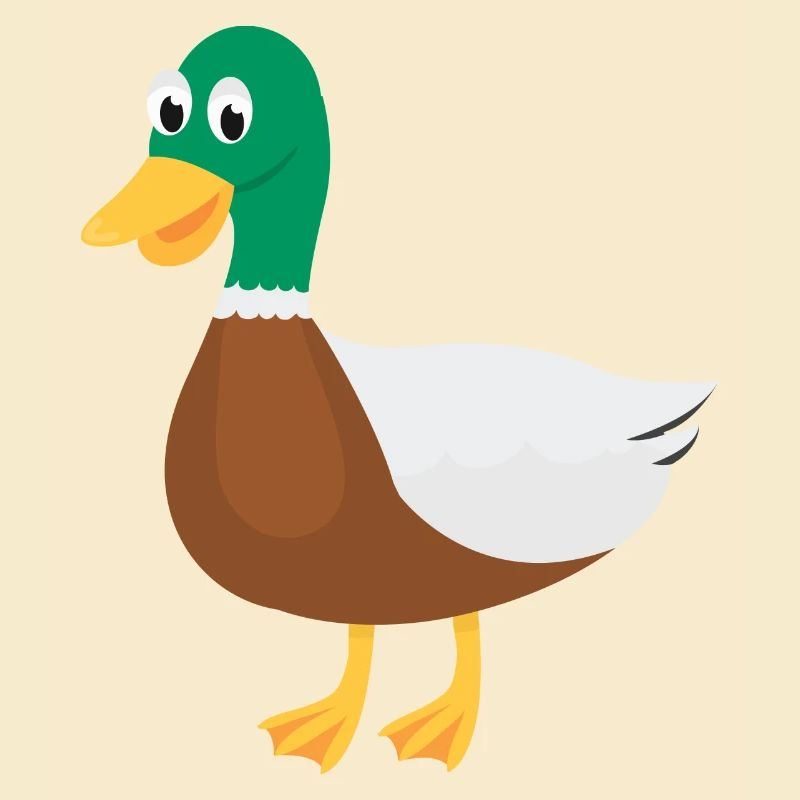 Canard