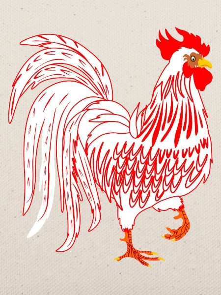 Weißer Hahn Hahn Coq
