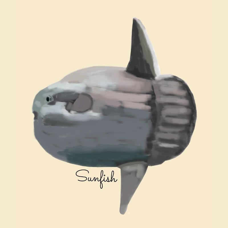 Sunfish