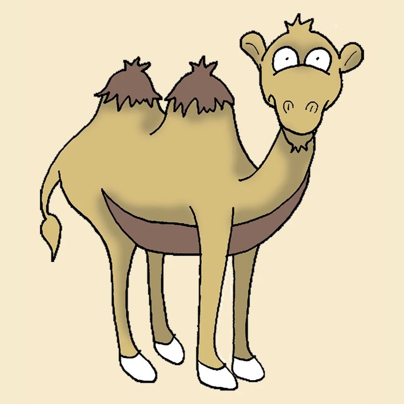 Kamel