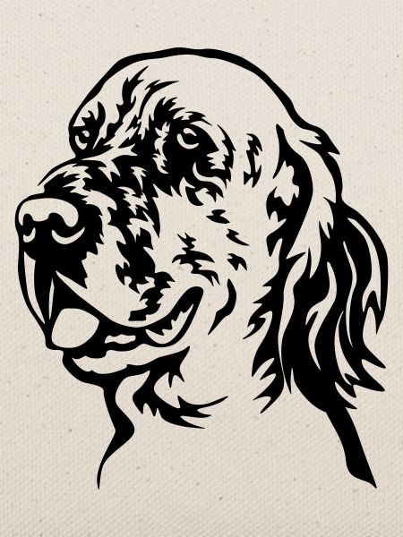 Englischer Setter Kopf