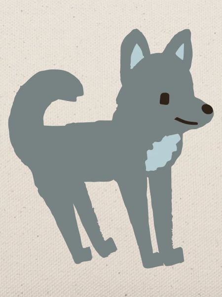 Wolf Kinderbuch