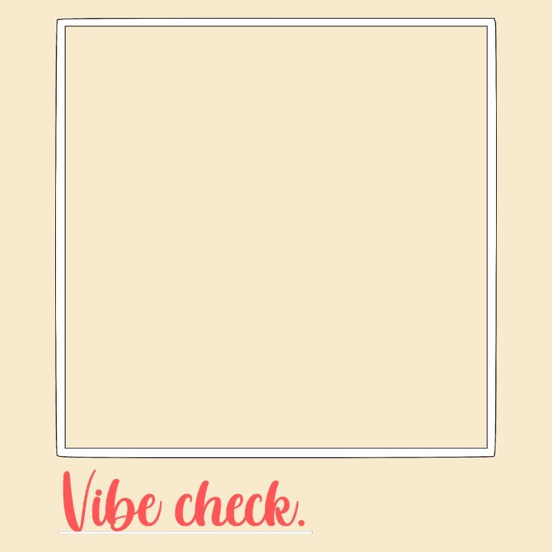 vibe chec