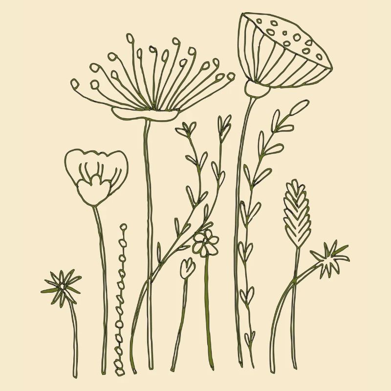 Dried flowers