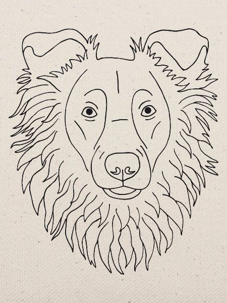 Collie