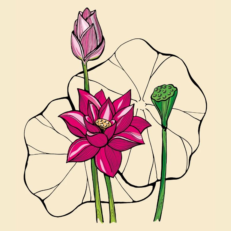 Seerose