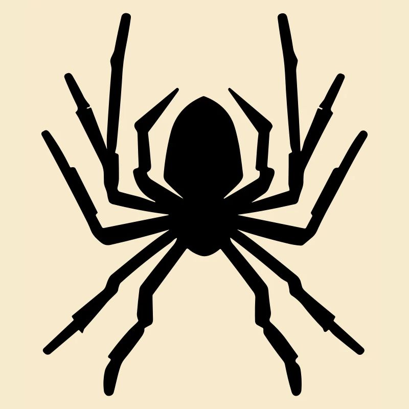 Spinne