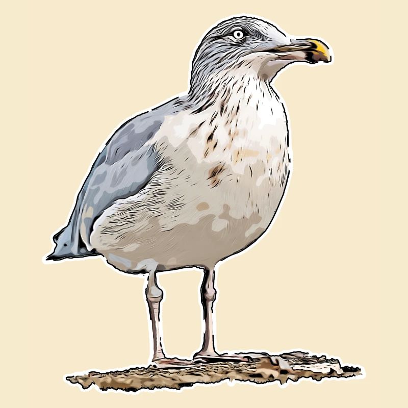 Möwe
