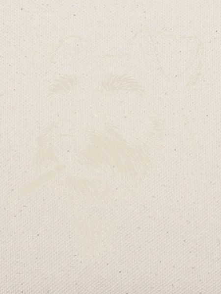 Hundeporträt von Schnauzer mit Zigarette