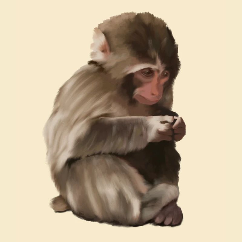 Punch - das einsame Äffchen