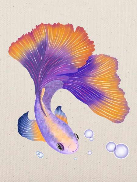 Fisch. Elegant unter Wasser