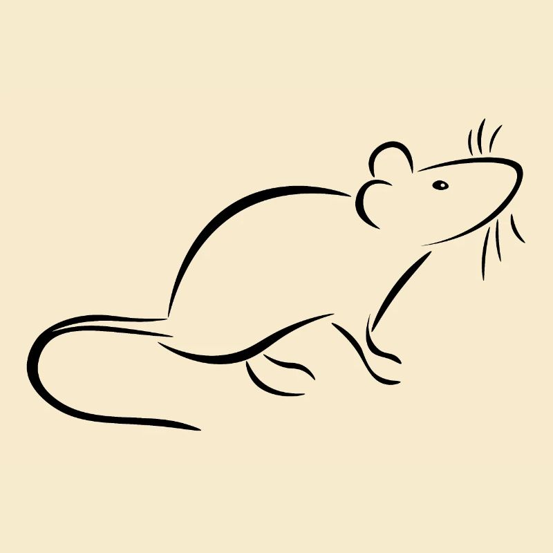 Ratte und Maus - halten zahme Ratten oder Mäuse