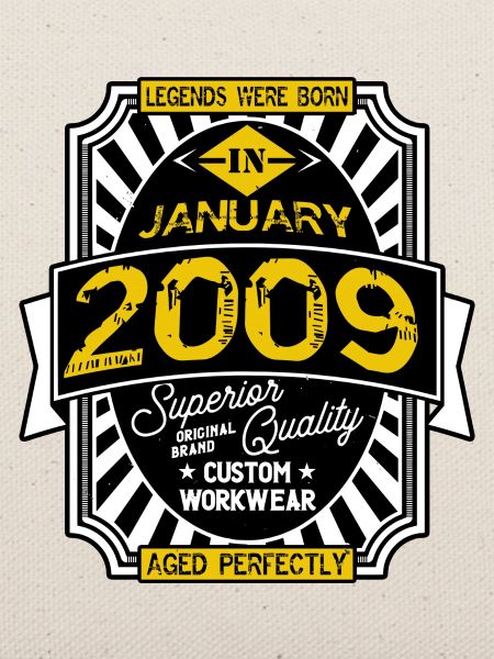 2009 JANUARY