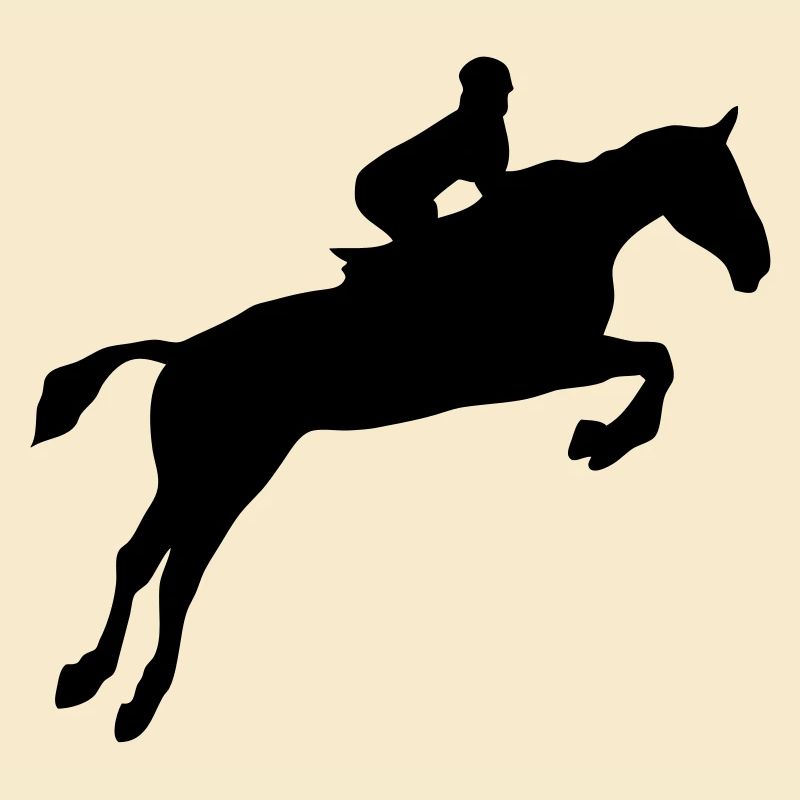 equitation cavalier obstacle cheval saut