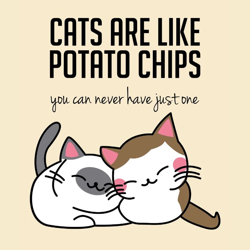 Chats: Les chats sont comme des pommes chips ...
