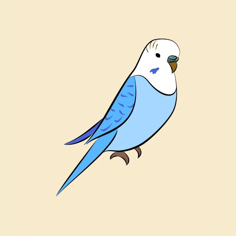 Wellensittich Blau