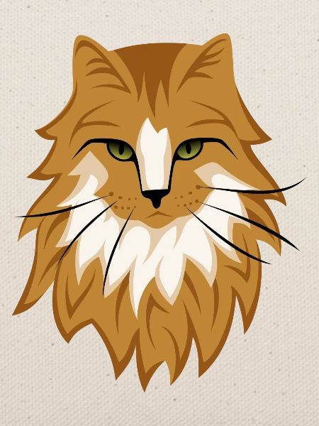 Braune Katze